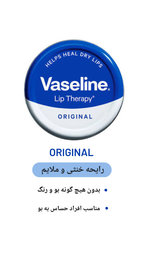 بالم لب وازلین (اصلی) با حجم 20 گرم