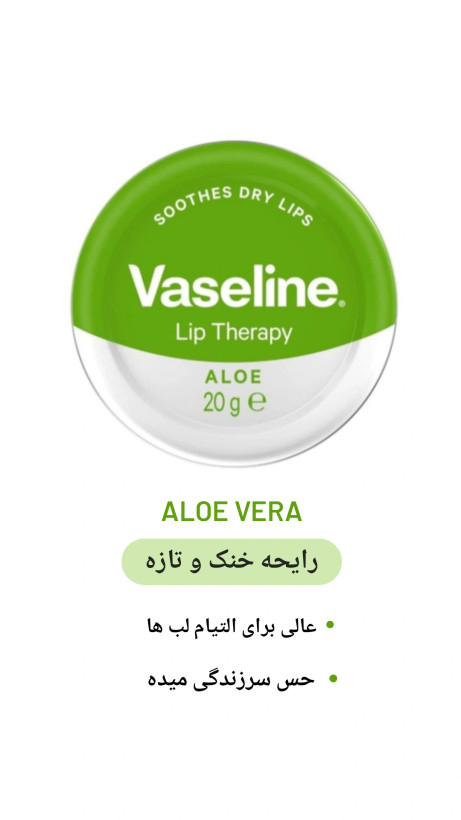 بالم لب وازلین (اصلی) با حجم 20 گرم
